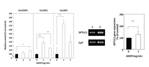19c94760e57643e6.jpg